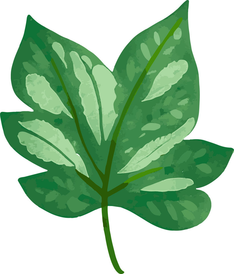 Green Leaf Watercolor Illustration